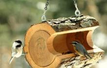 Как сделать кормушку для птиц из дерева своими руками – пошаговая инструкция и чертежи